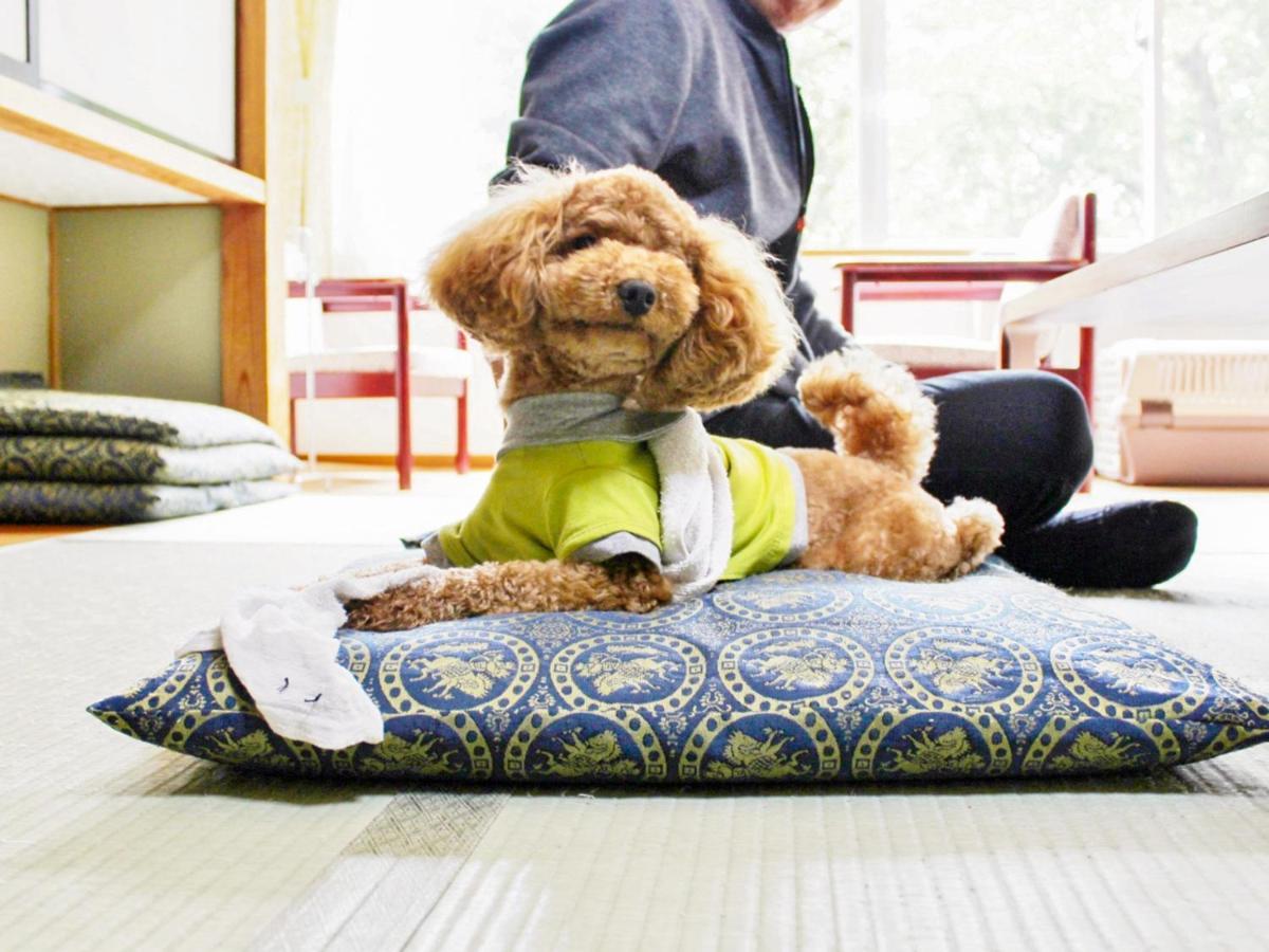 Kurohime Kogen Hotel Shinano  Zewnętrze zdjęcie