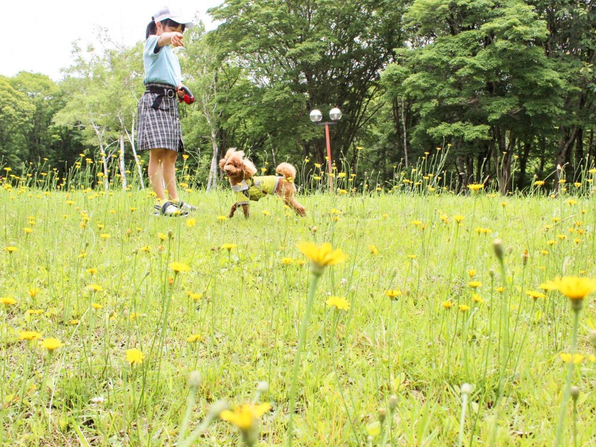 Kurohime Kogen Hotel Shinano  Zewnętrze zdjęcie